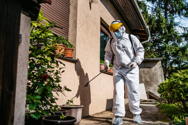 Best Residential Pest Control  in Burke, VA