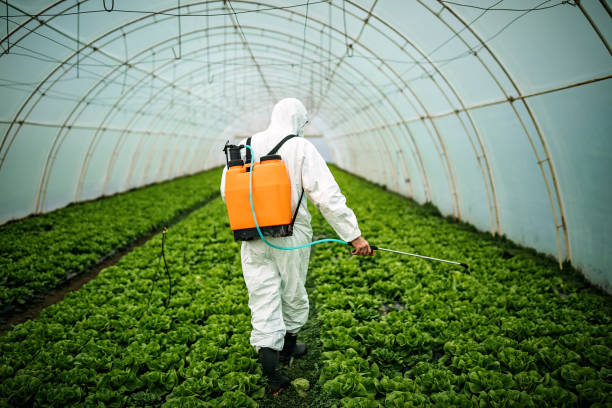 Best Best Pest Control Companies  in Burke, VA