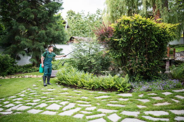 Best Commercial Pest Control Services  in Burke, VA