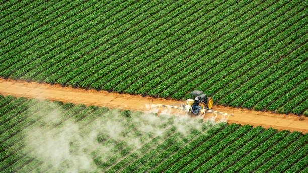 Best Pest Control for Homes  in Burke, VA