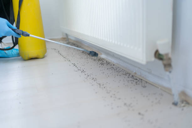 Pest Control Cost in Burke, VA